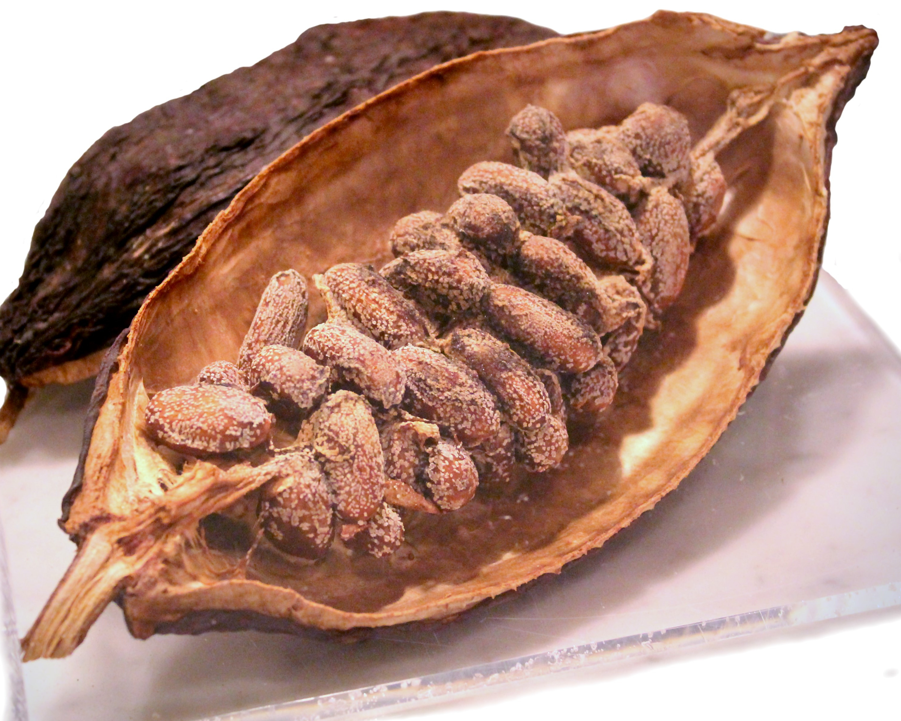 Aufgebrochene Schokoladen frucht